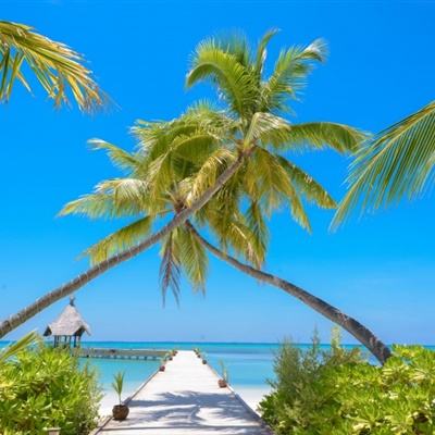 AG百家家乐appapp下载截图