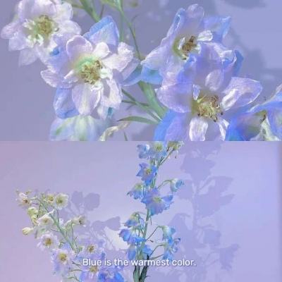 欧意app下载安装-登录入口